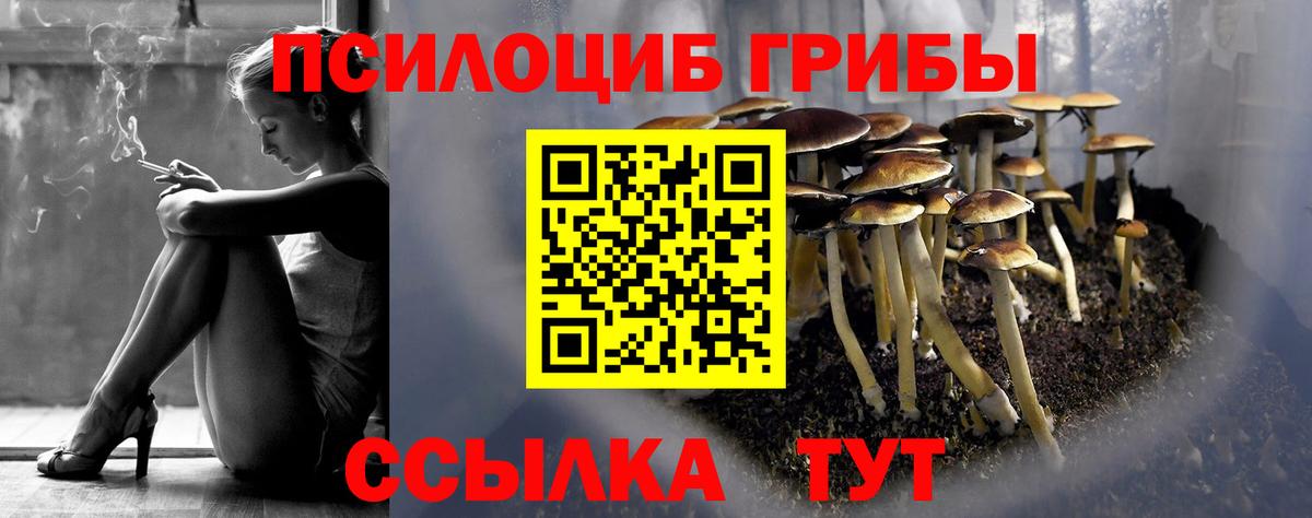 Псилоцибиновые грибы мицелий  Вход с VPN  Ревда 